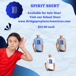 Parents 2022-2023 School Spirit Shirts are now available. 